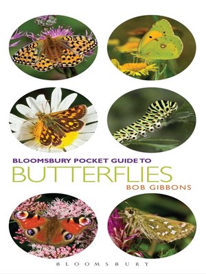 cover image of Pocket Guide to Butterflies